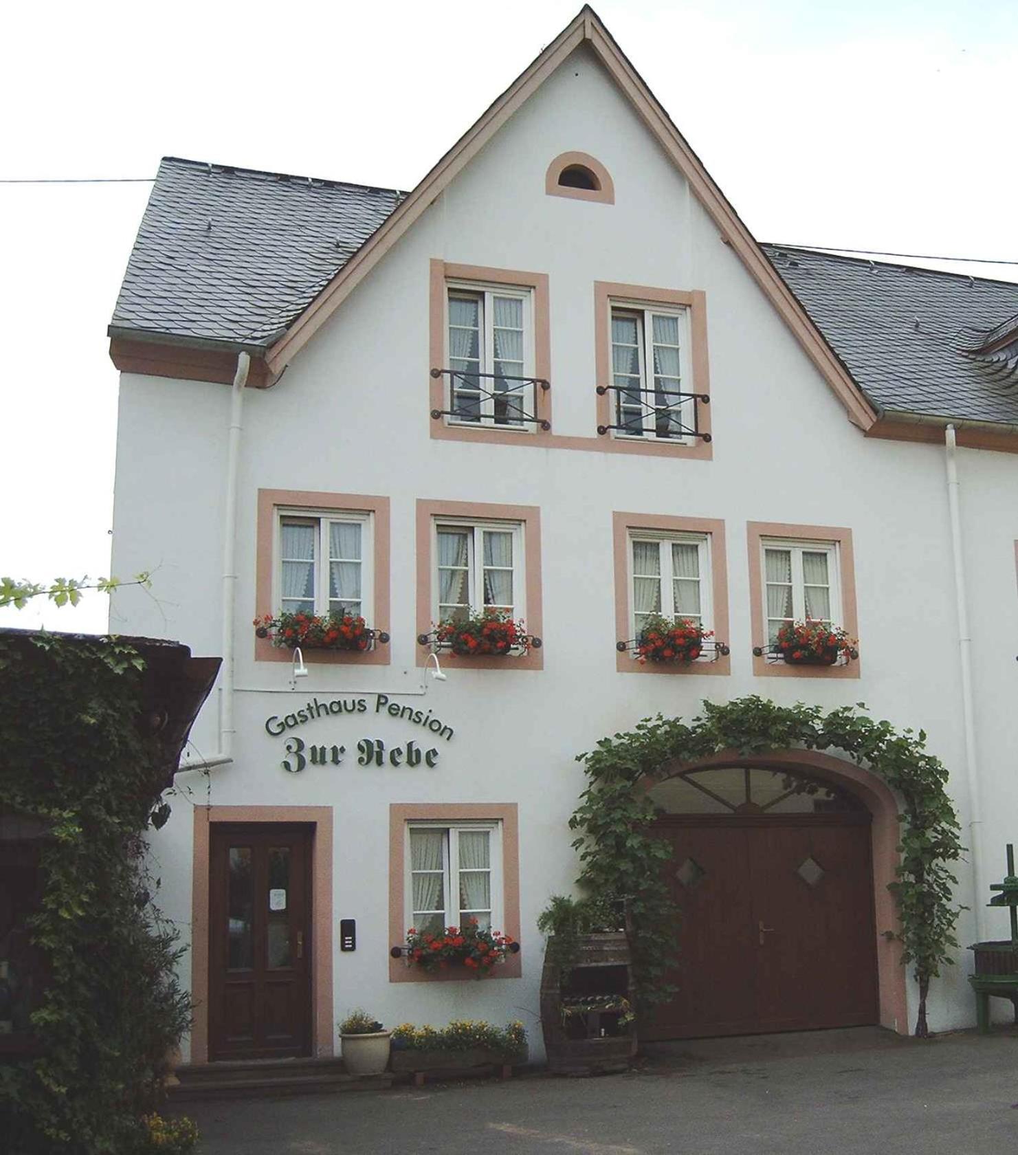 Gasthaus Zur Rebe ميهرينغ المظهر الخارجي الصورة